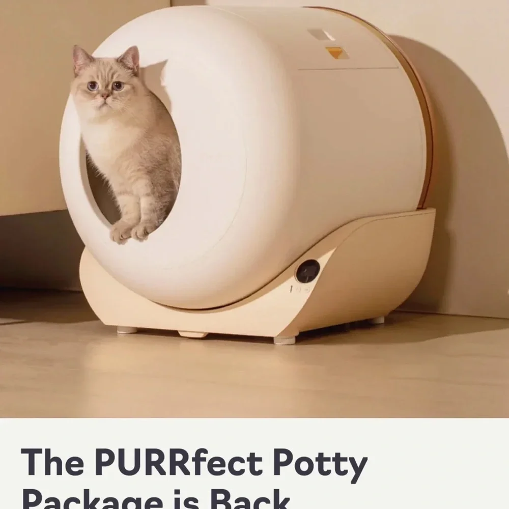Modern White Cat Litter Box